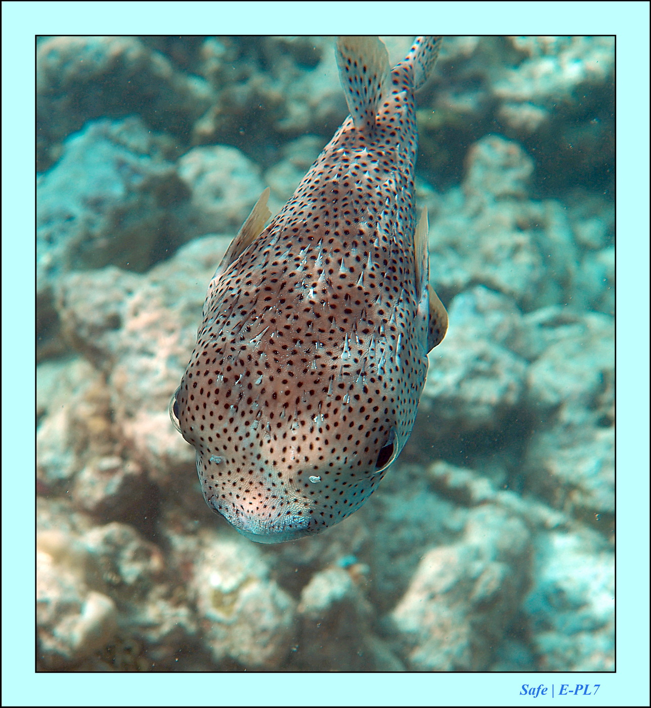 2023 - 07 - Sandies Bathala - 208